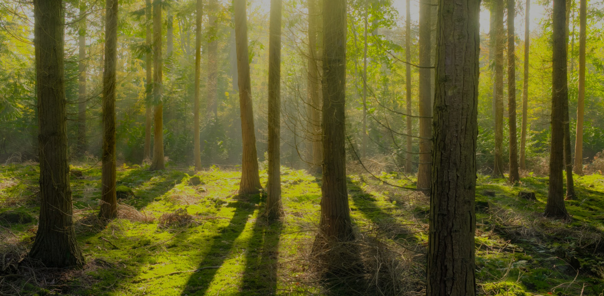 Mistakes are always part of life, what you do after that is what matters.