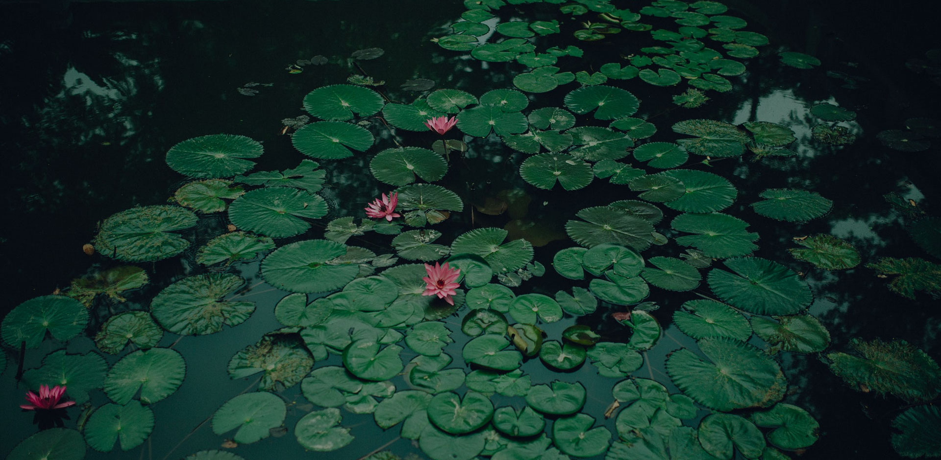 
I am not sure where I'm going, But I am sure I am not lost!