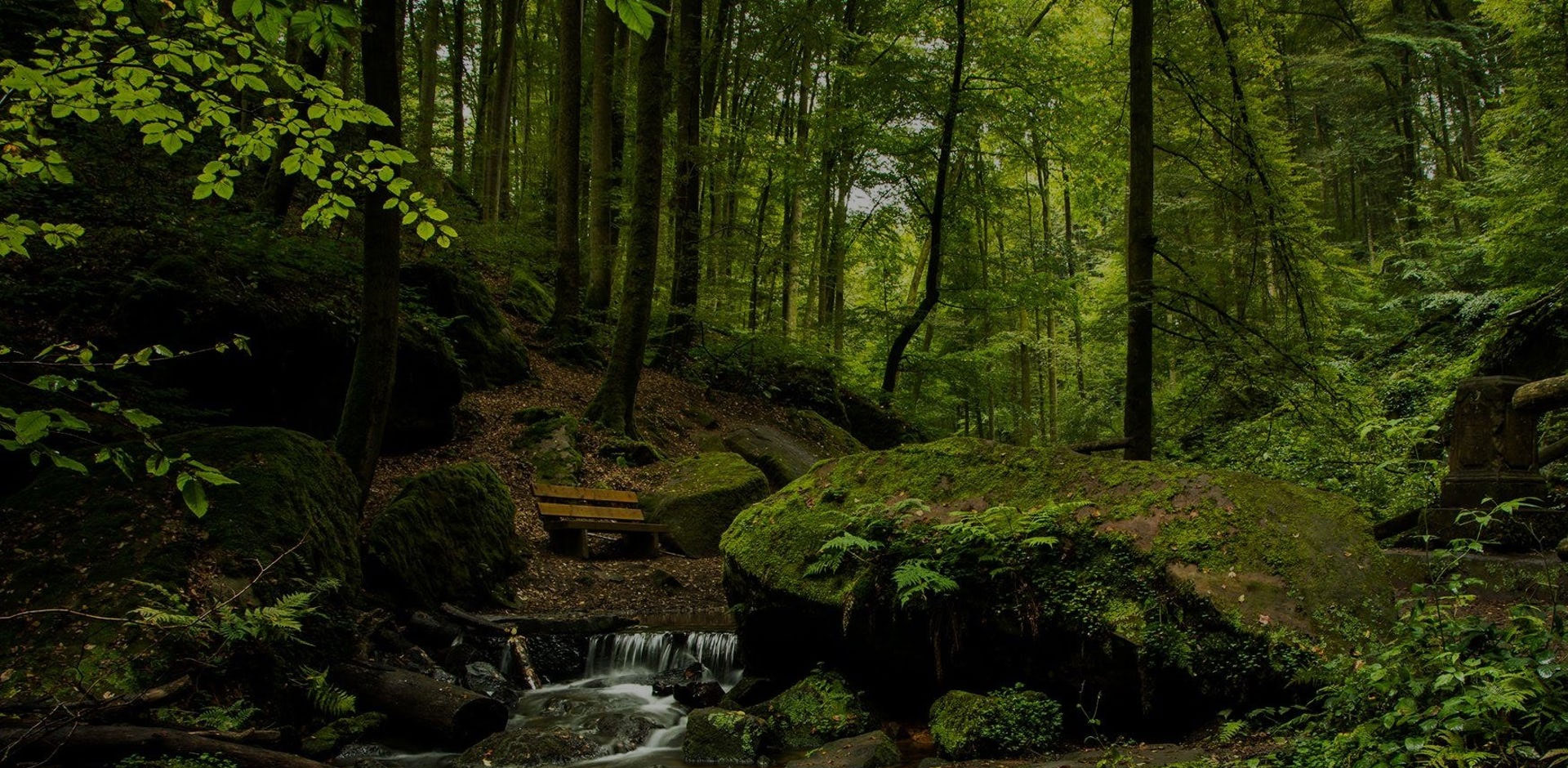 
Nothing is permanent in this wicked world, Not even our problems!